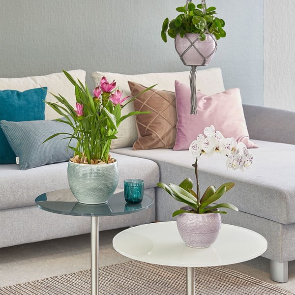 Керамичен съд ø 22 cm Manacor Deluxe - Big pots-image-1