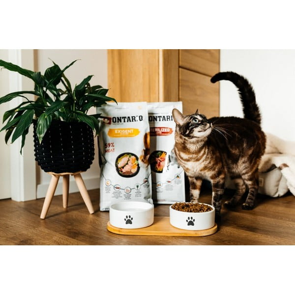 Керамичен комплект купички с основа за куче ø 13 cm Dog Fantasy – Plaček Pet Products-image-1