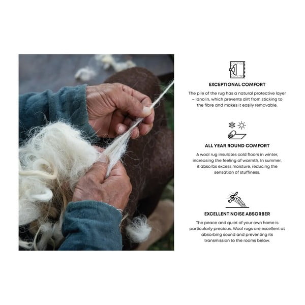 Кремав вълнен килим 300x400 cm Botany – Agnella-image-4