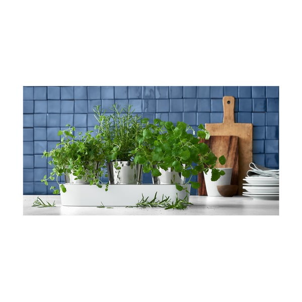 Комплект от 3 саксии за билки от неръждаема стомана Gourmet - WMF-image-1