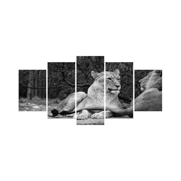 Vícedílný obraz Black&White no. 72, 100x50 cm
