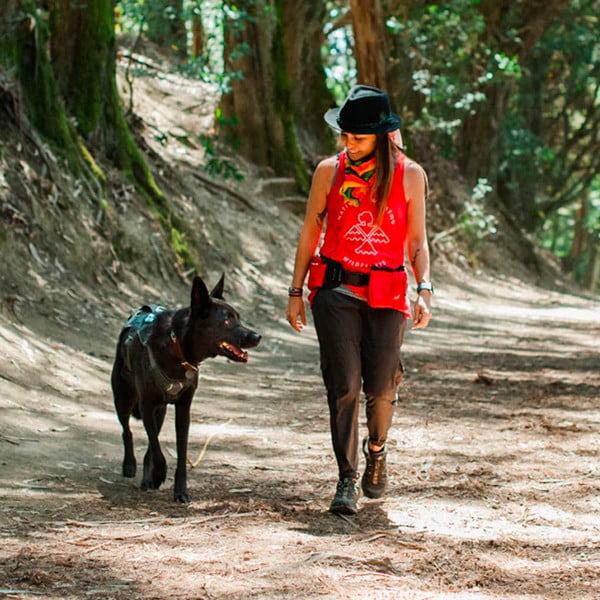 Колан Explorer Pack Lava - P.L.A.Y.-image-3