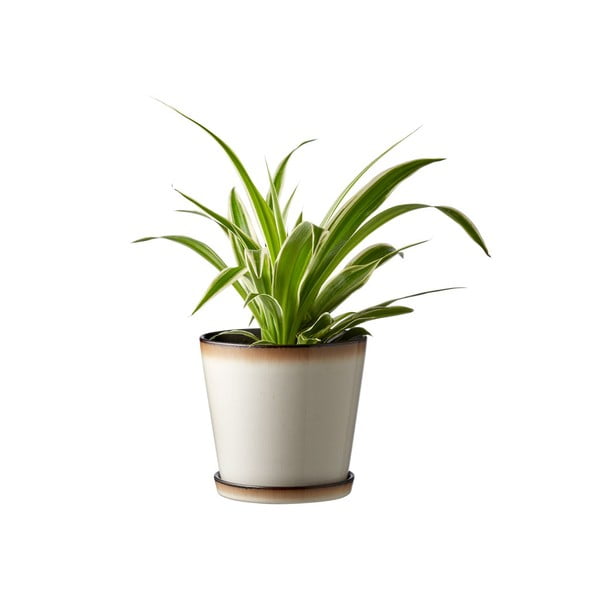 Глинена саксия за цветя ø 14 cm Gastro  – Bitz-image-1