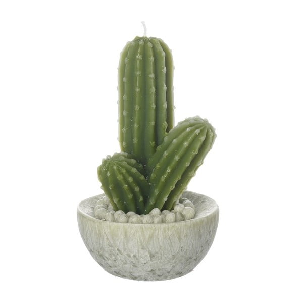 Svíčka Heaven Sends Cactus