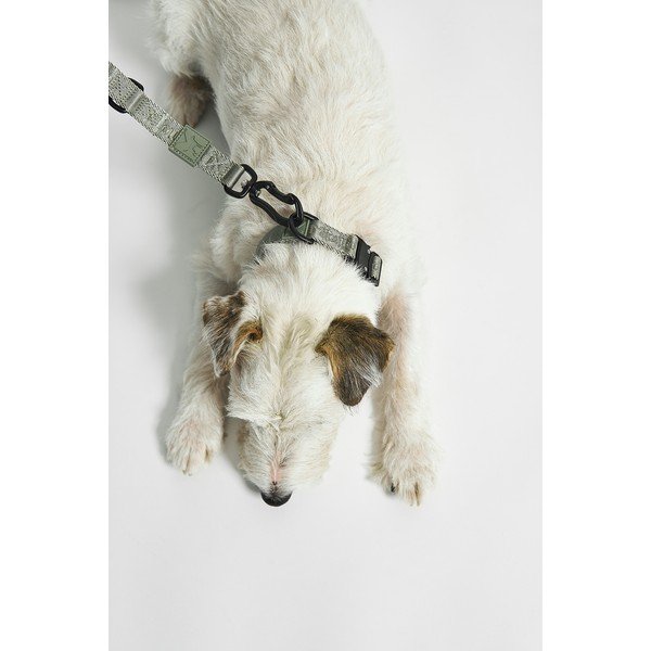 Зелен нашийник L/XL дължина 40 cm Modena Grolive L/XL – MiaCara-image-1