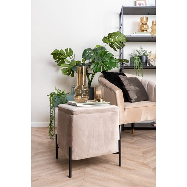 Възглавница от черно кадифе Tender, 40 x 40 cm - PT LIVING-image-4