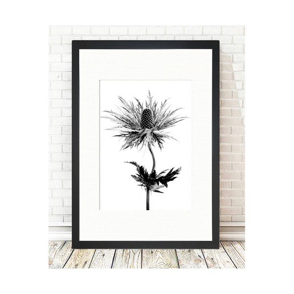 Плакат 24x29 cm Thistle Vibes - Tablo Center-image-1