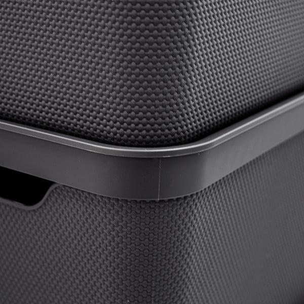 Пластмасова кутия за съхранение с капак Deco - Rotho-image-3