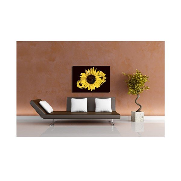 Obraz Sun Flower, 40x60 cm