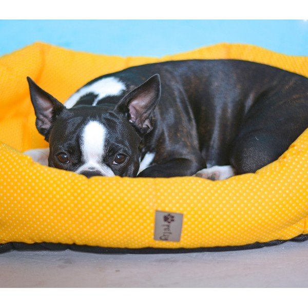 Жълто памучно легло 75x60 cm Sunny - Petsy-image-1