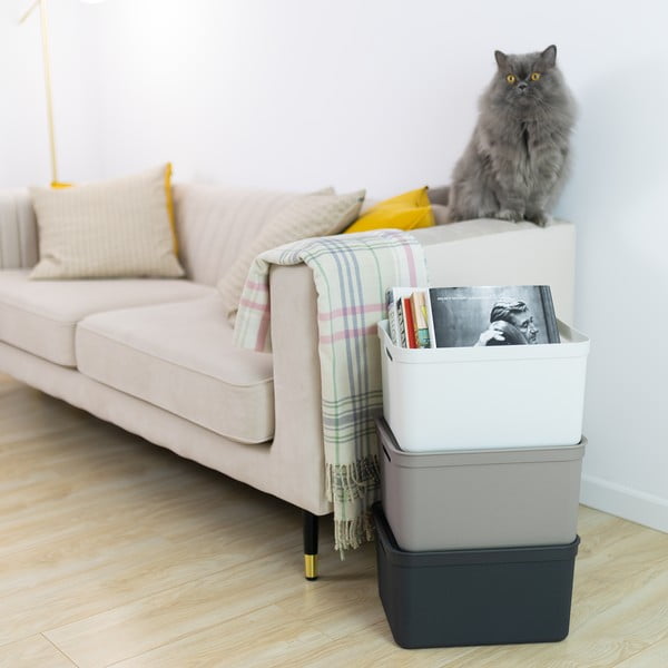 Пластмасова кутия за съхранение с капак Deco - Rotho-image-1