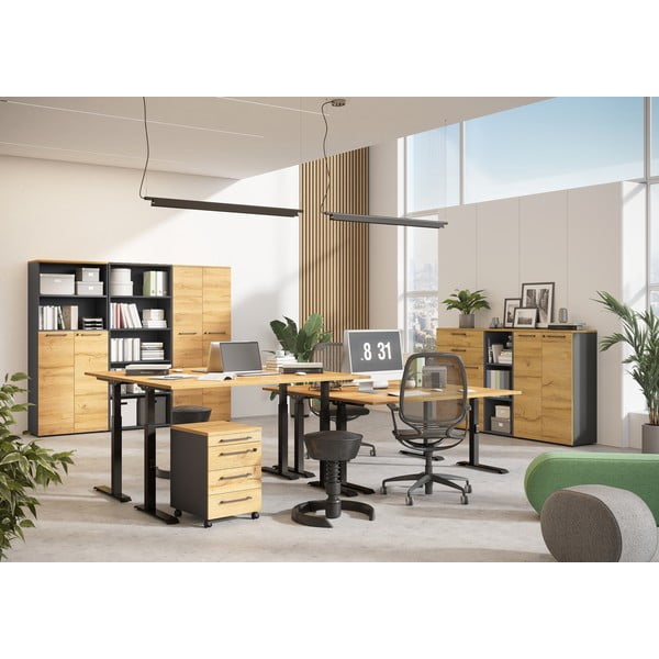 Работна маса с електрическо регулиране на височината с дъбов плот 80x160 cm Agenda – Germania-image-4