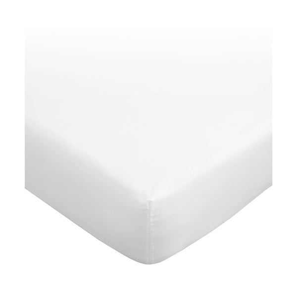 Бял разтегателен чаршаф от египетски памук 90x190 cm - Bianca