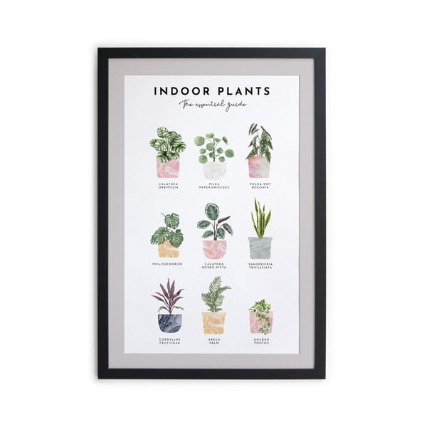 Картина за стена в рамка , 30 x 40 cm Indoor Plants - Really Nice Things