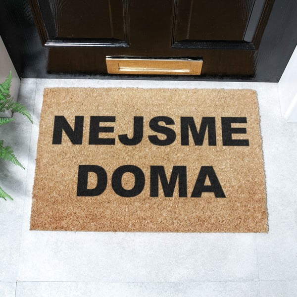 Изтривалка от кокосови влакна 40x60 cm Nejsme Doma – Artsy Doormats-image-2