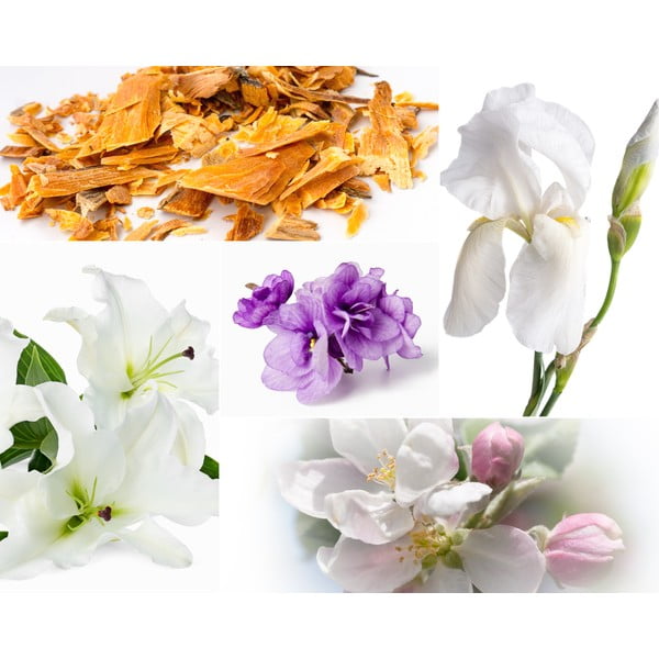 Свещ от соев восък с време на горене 60 h Muscs Poudres – Privé Home-image-2