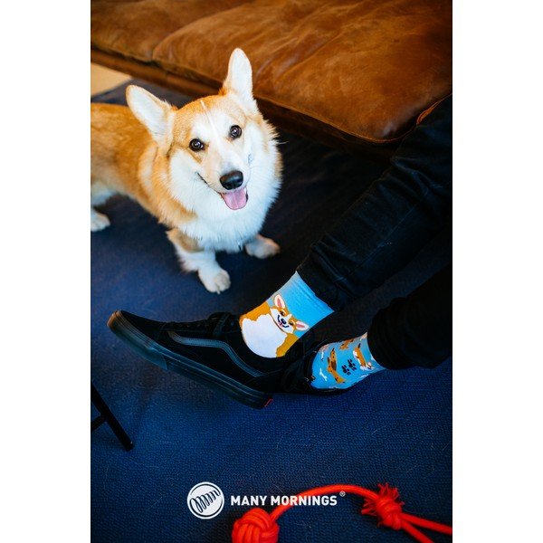 Чорапи Playful Dog, размер 39-42 - Many Mornings-image-1
