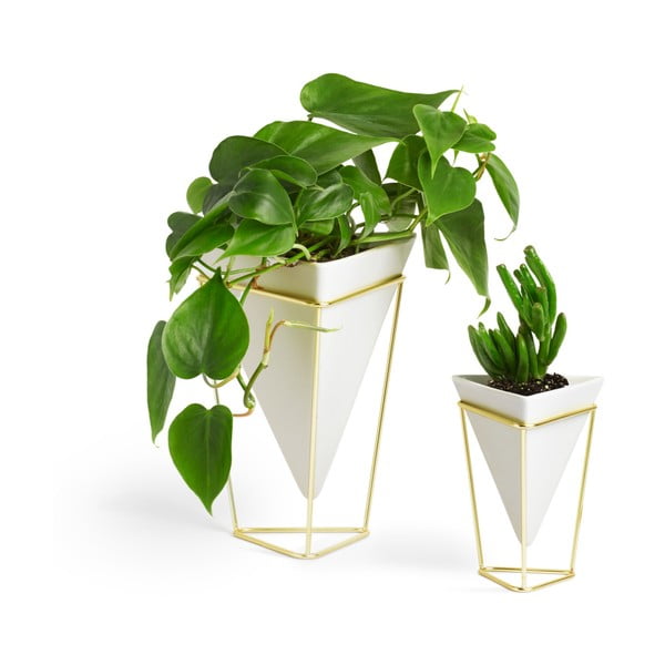 Комплект от 2 бели керамични саксии със златист дизайн Trigg - Umbra-image-3