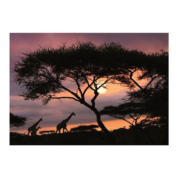 Tapeta African Safari, 400x280 cm