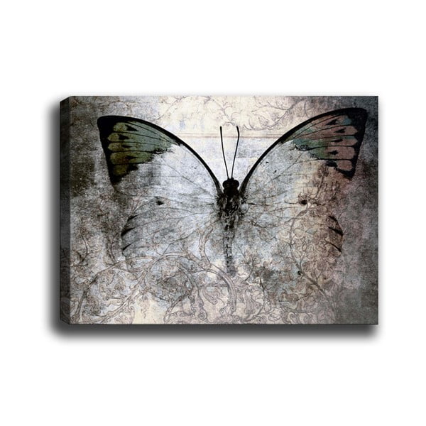 Живопис , 70 x 50 cm Fading Butterfly - Tablo Center