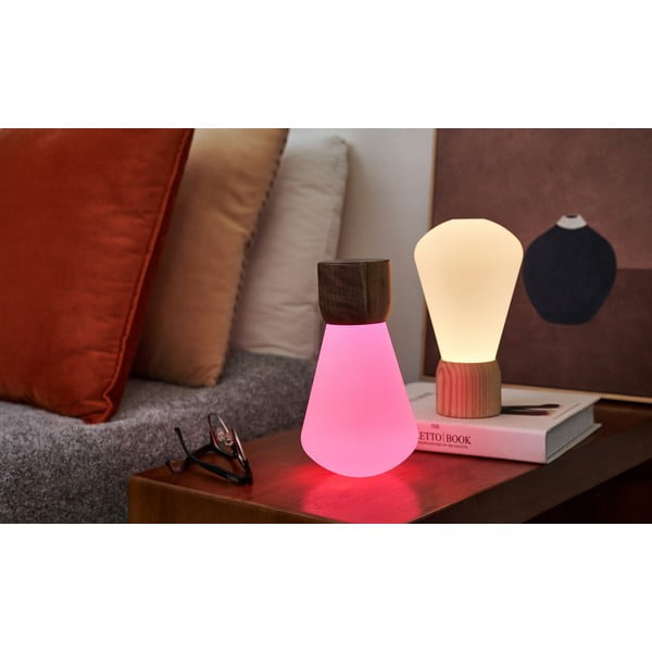 Настолна лампа с възможност за затъмняване в естествен цвят (височина 13 см) Pentagon - Gingko-image-3