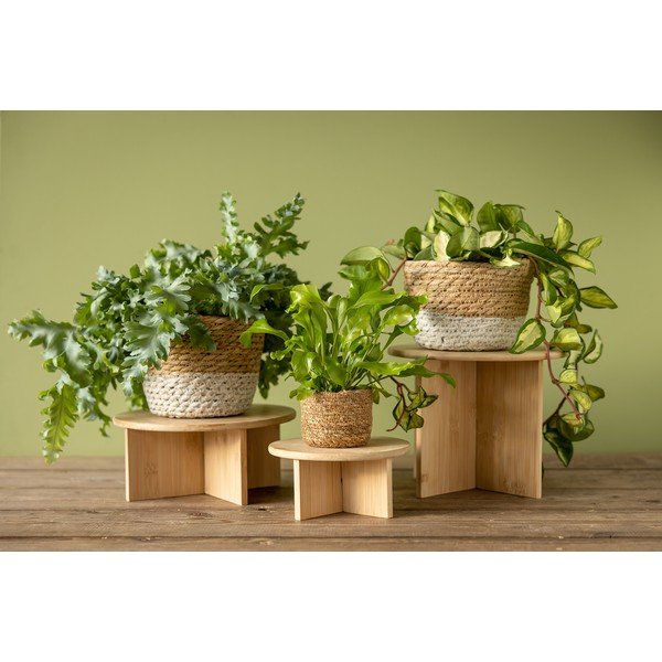 Бамбукова стойка за цветя ø 25 cm (височина 19,5 cm) – Esschert Design-image-3