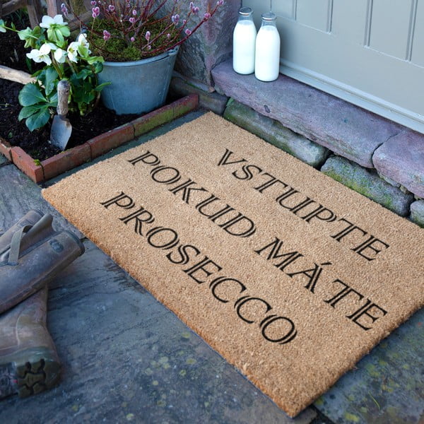 Изтривалка от кокосови влакна 40x60 cm Prosecco – Artsy Doormats-image-3