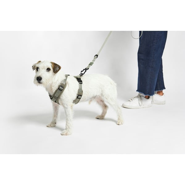 Зелена каишка S дължина 30 cm Modena Grolive S – MiaCara-image-2