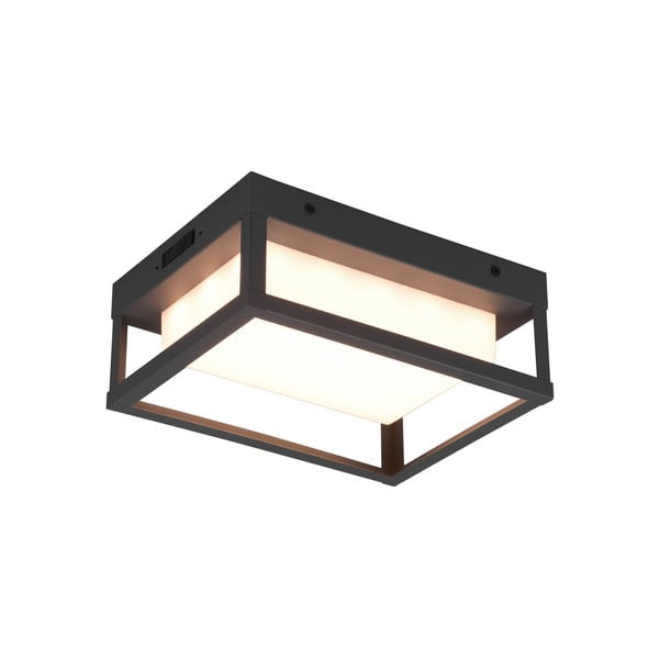 LED външна стенна лампа (височина 24 см) Witham - Trio-image-2