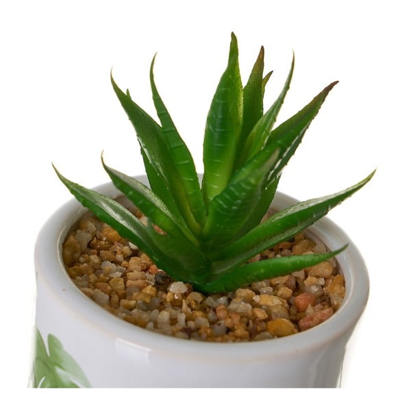 Изкуствени цветя в комплект от 4 Cactus - Casa Selección-image-1