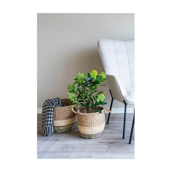 Изкуствено растение Skimmia - House Nordic-image-2