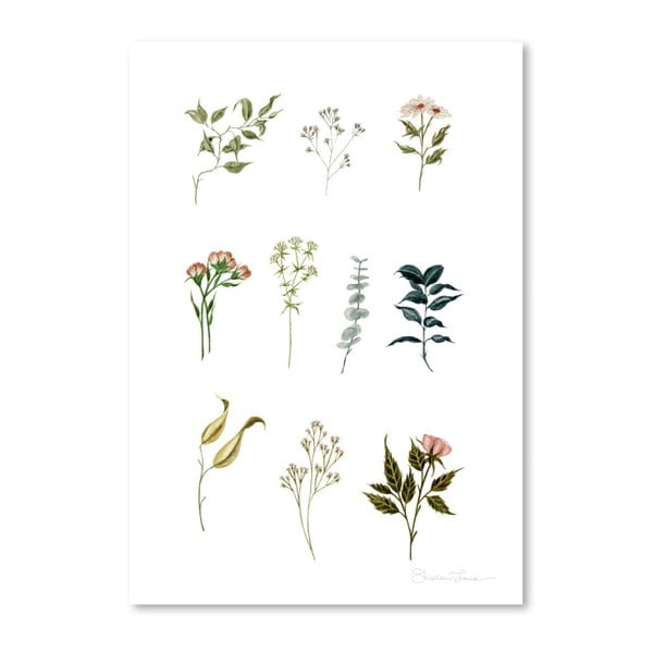 Плакат Деликатна ботаника Lpieces от Шилин Луиз, 30 x 42 cm - Americanflat