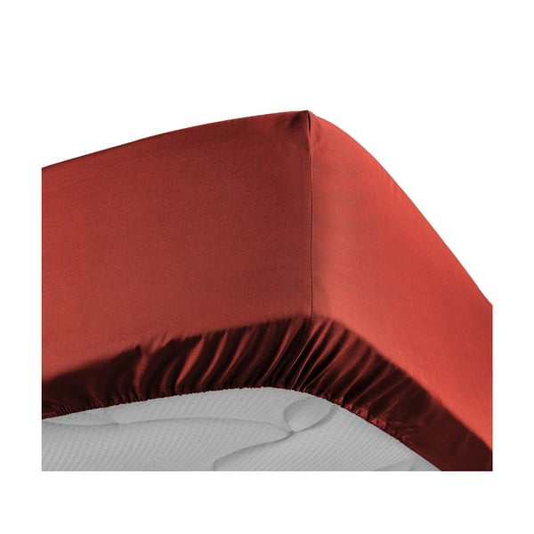 Еластичен чаршаф от памук перкал тухлен 180x200 cm Percaline – douceur d'intérieur-image-3