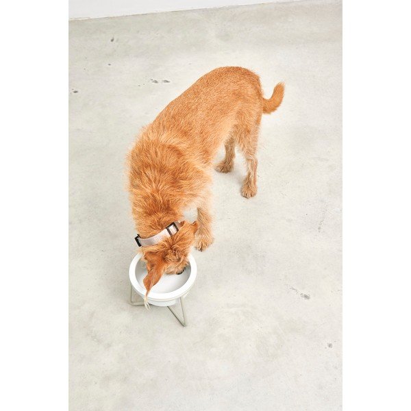 Порцеланова купа с основа за куче ø 20 cm Pranzo Greige M – MiaCara-image-4