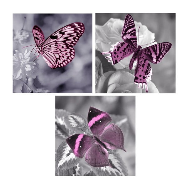 Комплект картини върху стъкло Пеперуда, 20x20 cm, 3 бр. - Postershop