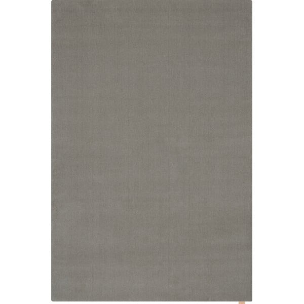 Сив вълнен килим 160x240 cm Calisia M Smooth – Agnella