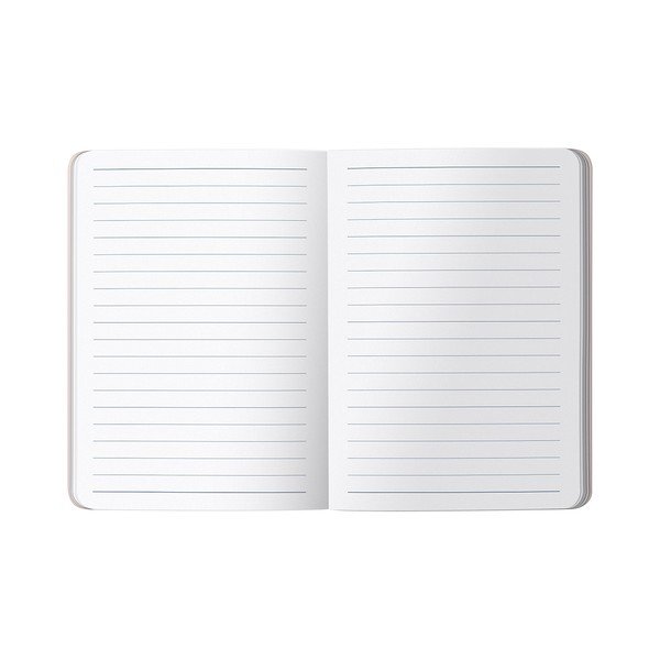 Тетрадка 128 стр. – Busy B-image-3