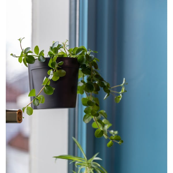 Пластмасови висящи саксии в комплект от 2 броя ø 10 см - Esschert Design-image-4