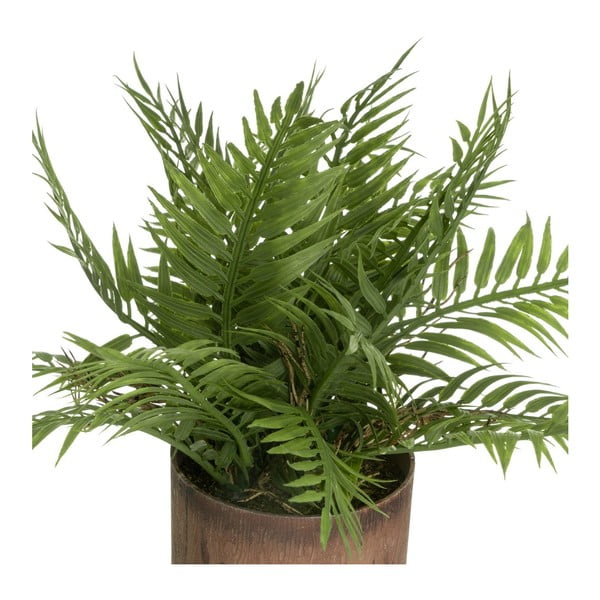 Изкуствени растения в комплект от 2 бр. (височина 22 cm) – Casa Selección-image-2