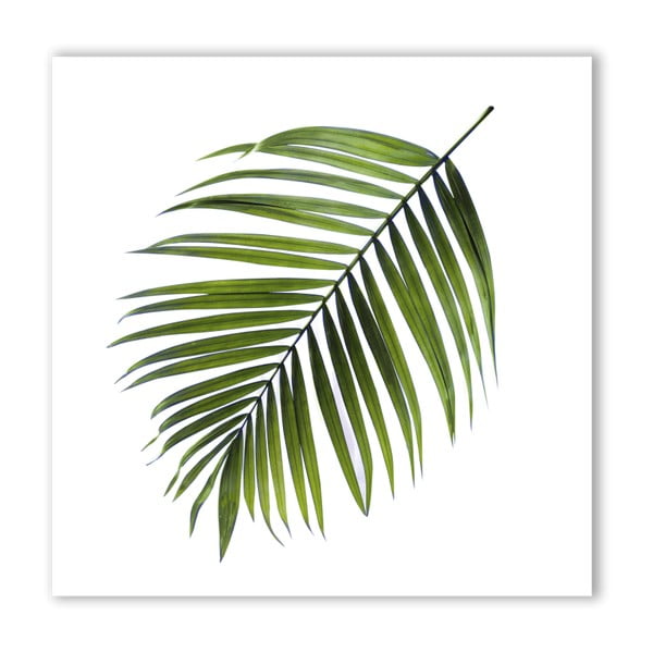 Картина на платно Черна палма, 32 x 32 cm Greenery - Styler