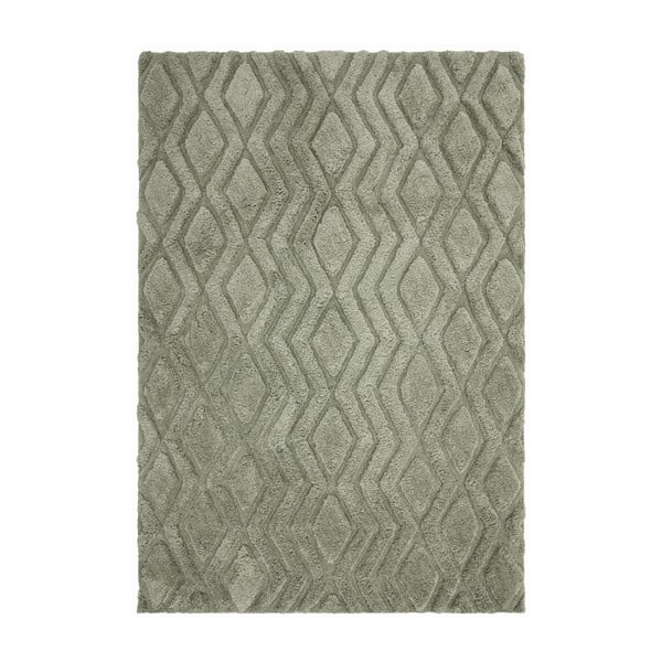Зелен килим 170x120 cm Harrison - Asiatic Carpets