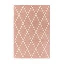 Розов ръчно изработен вълнен килим 160x230 cm Albany – Asiatic Carpets