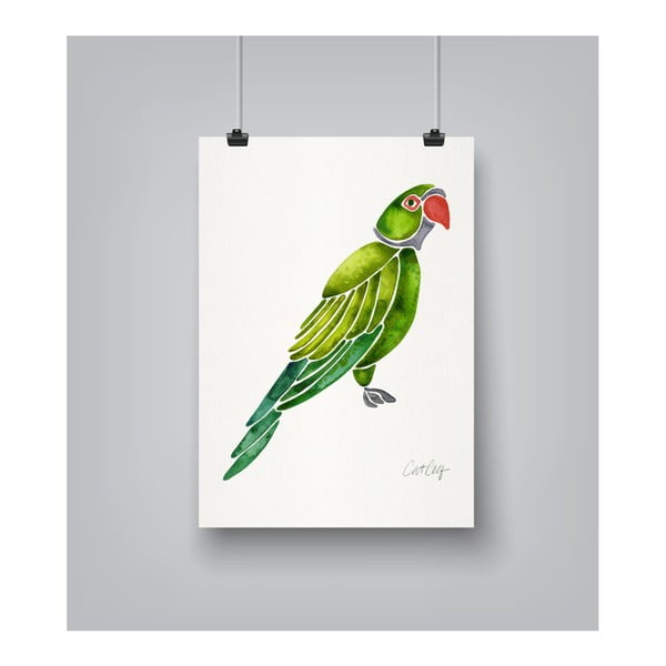 Plakát Americanflat Parrot by Cat Coquillette, 30 x 42 cm