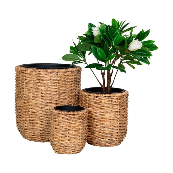 Комплект саксии 3 бр. от воден зюмбюл ø 49 cm Hanoi – House Nordic-image-2