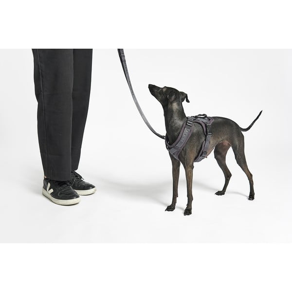 Бежова каишка XS дължина 25 cm Modena Greige XS – MiaCara-image-2