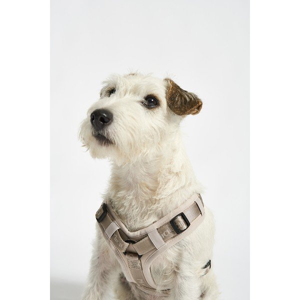 Бежова каишка S дължина 30 cm Modena Greige S – MiaCara-image-1