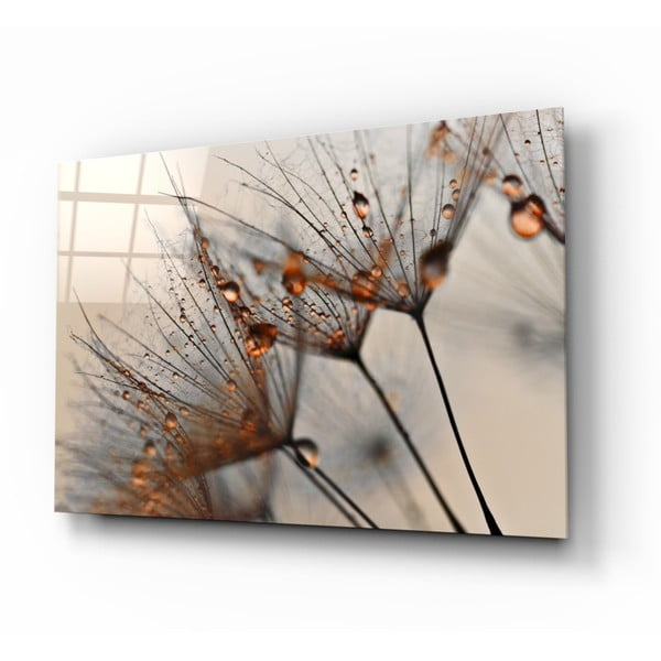 Картина върху стъкло , 72 x 46 cm Cinnamon Dandelion - Insigne