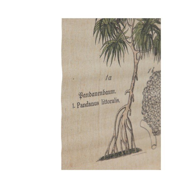 Гоблен 50x70 cm Palm – Ixia-image-1