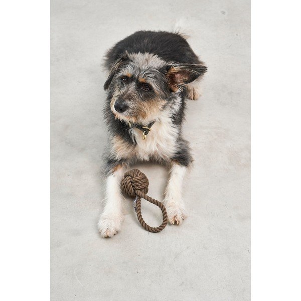 Играчка за куче Nodo Chocolate – MiaCara-image-1