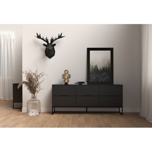 Черен скрин с метални крака Lipp - Tenzo-image-1